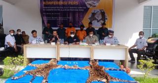 Gagal Jual Kulit Harimau, Dua Orang Ditangkap