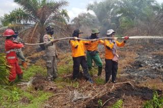 Satgas Karhutla Riau Padamkan 476 Hekatre Lahan Terbakar