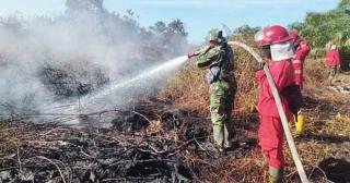 Satgas Karhutla Berjibaku Padamkan Titik Api, Berikut Rinciannya