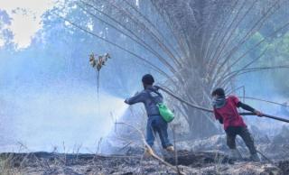 10 Hektar Lahan di Giam Siak Kecil Terbakar, Tim Gabungan Gerak Cepat