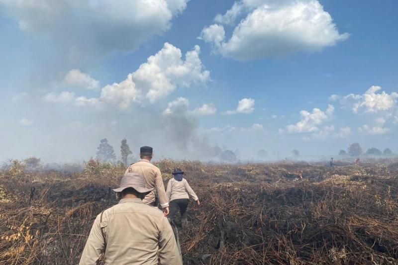 Petugas Gabungan Berhasil Padamkan Karhutla di Desa Teluk Bano Rohil