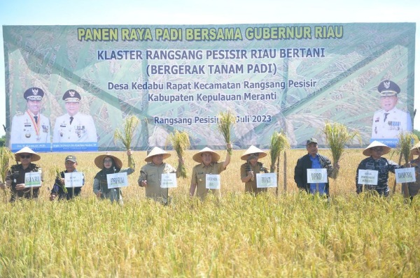 Gubri Syamsuar Panen Raya di Desa Kedabu Rapat, Plt Bupati Meranti Sambut Semringah