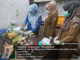 Disketapang Pekanbaru Uji Residu Sejumlah Komoditas Tumbuhan di Pasar Sail