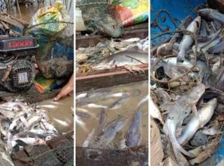 Pencemaran Air Sungai Siak di Tualang Tunggu Uji Sampel