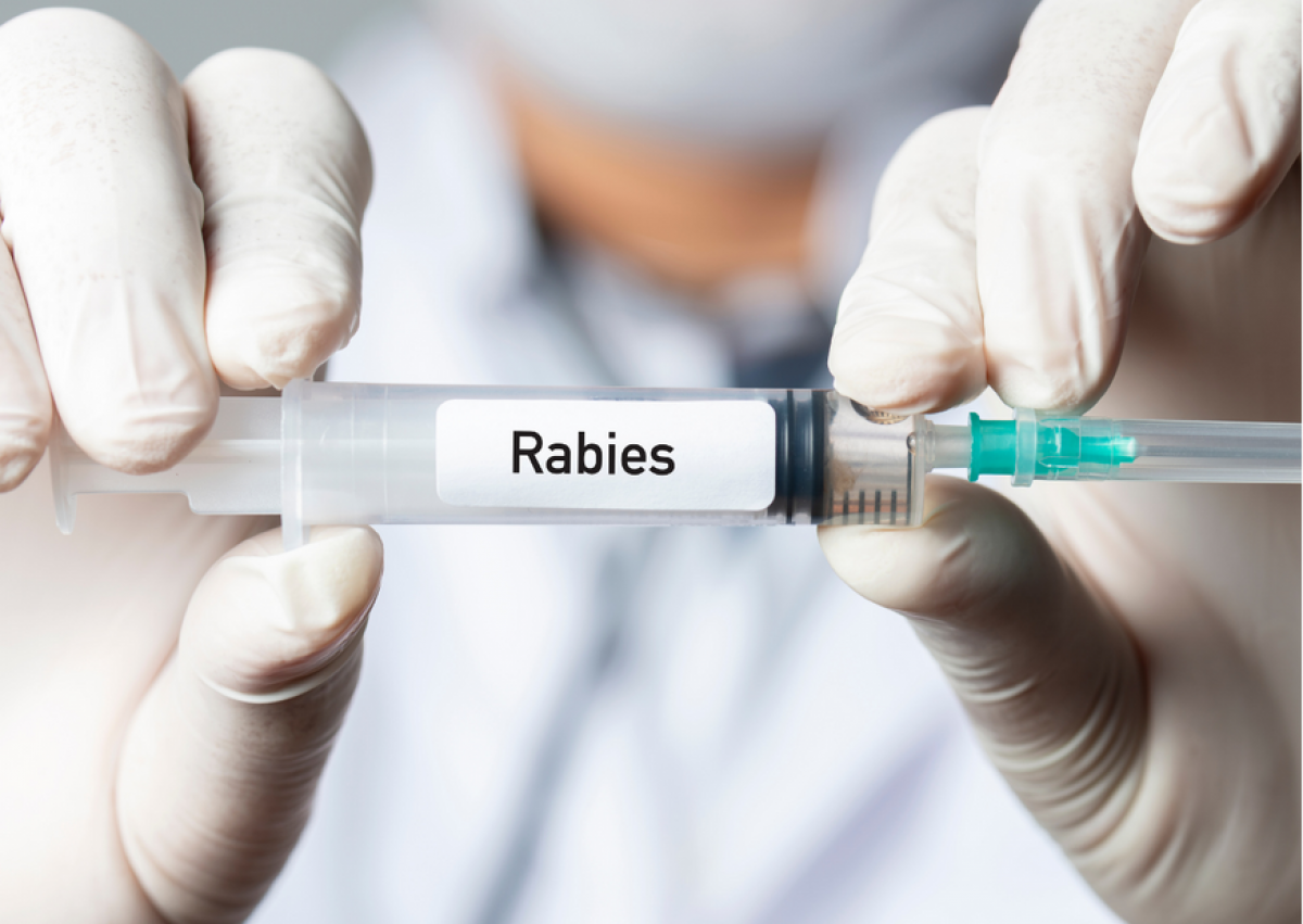 Warga Pekanbaru Bisa Dapatkan Vaksin Anti Rabies Secara Gratis di Puskesmas