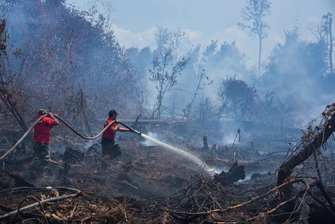 Karhutla di Riau Padam, Tersisa Dua Daerah Lagi 