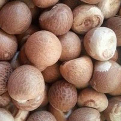 Harga Pinang Kering di Riau Naik Jadi Rp5.900 per Kg