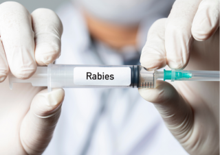 Warga Pekanbaru Bisa Dapatkan Vaksin Anti Rabies Secara Gratis di Puskesmas