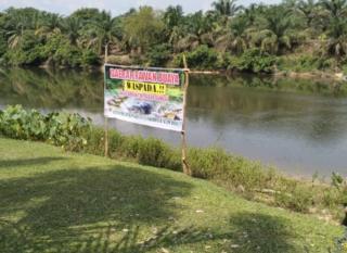 Buaya Senyulong Muncul di Sungai Subayang Kampar, BKSDA Riau Pasang Plang