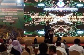 KLHK Sosialisasi Perdagangan Karbon Sektor Kehutanan di Riau