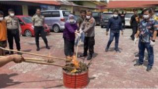 Polisi di Pekanbaru Musnahkan Ganja 3,5 Kg dan 260 Butir Pil Riklona