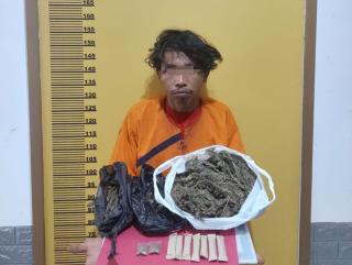 Polres Inhu Ringkus Pengedar Ganja Kering, Total BB Membuat Heboh 