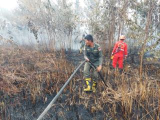 Terdeteksi 3 Karhutla di Riau, 2 Lokasi Berhasil Dipadamkan