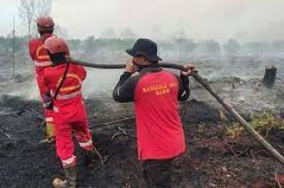 Petugas Gabungan Padamkan Kebakaran Lahan di Pelalawan