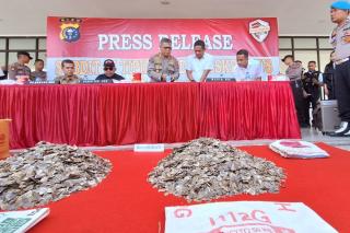 Polda dan BKSDA Riau Tangkap Penjual Kulit Tenggiling