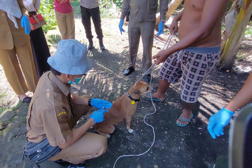 Catat Tanggalnya! 7 Oktober 2023 Pemprov Riau Berikan Vaksin Rabies Gratis
