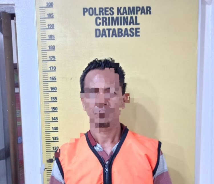 Polisi Tangkap Pelaku Bakar Lahan di Desa Kualu Nanas Kampar