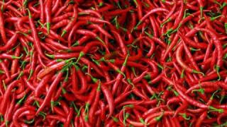 Harga Cabai di Pekanbaru Semakin Pedas, Ini Upaya Dari Pemerintah
