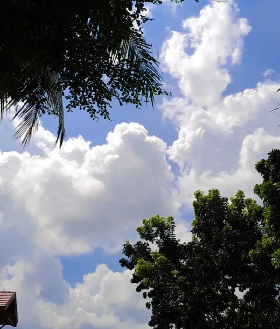 Prakiraan Cuaca Wilayah Riau 17 Desember 2023