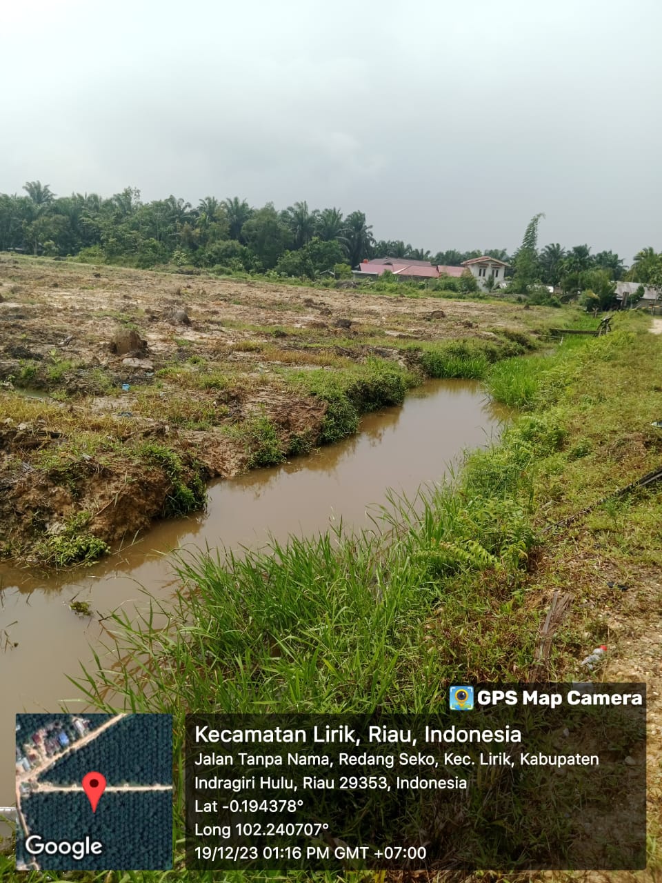 PT. GH Cuek dengan Mati nya Ratusan Ikan di Sungai Seko, Diduga Akibat Kebocoran Limbah