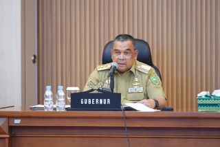 Pemprov Riau Bentuk Tim Satgas Siaga Bencana Hidrometeorologi