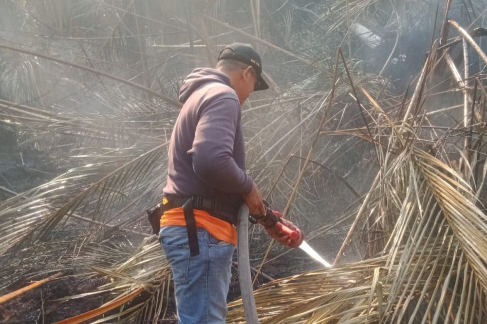 Tim Gabungan Berjibaku Padamkan Api Karhutla di Kepulauan Meranti
