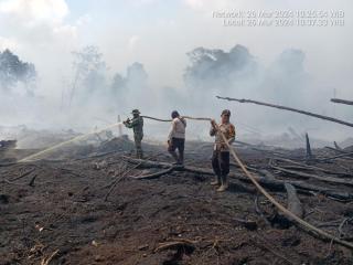 Tiga Lokasi Karhutla di Bengkalis Dipadamkan Tim Gabungan