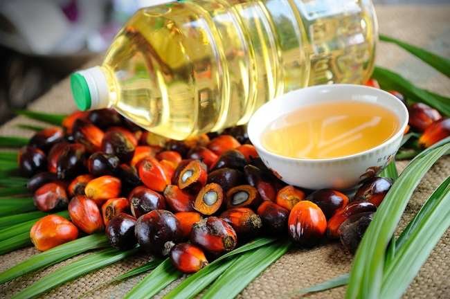 Harga Sawit Mitra Swadaya di Riau Naik Capai Rp2.929,90 per Kg