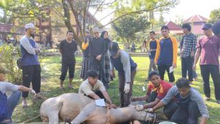Pererat Silaturahmi, Keluarga Besar FISIP Unri Kembali Gelar Kurban
