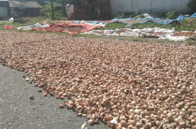 Pinang Kering di Riau Minggu Ini Dihargai Rp4.700 per Kg