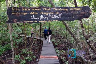 Ekowisata Mangrove Sungai Liong, Peluang Baru untuk Pengembangan Pariwisata di Bengkalis