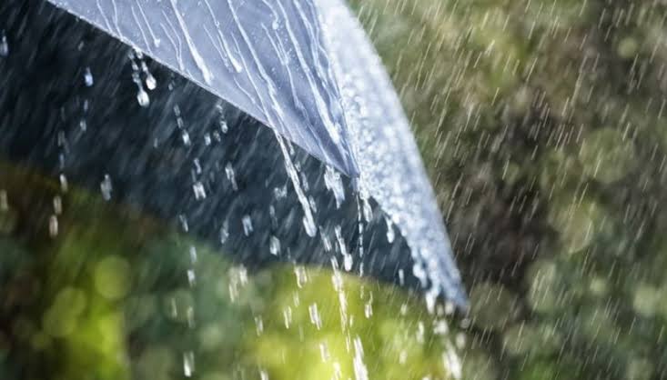 Prakiraan Cuaca Riau Hari Ini: Hujan Dominasi Sejumlah Wilayah