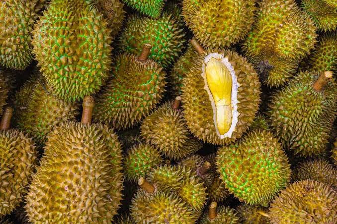 Hati-hati! Berikut Bahaya Berlebihan Makan Durian bagi Kesehatan