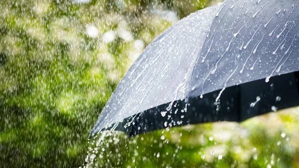 Prakiraan Cuaca Riau Hari Ini: Hujan Lebat Disertai Petir 