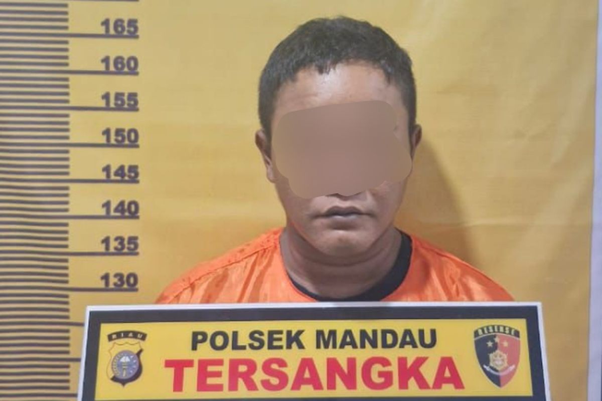 Rentenir di Bengkalis Dibunuh dan Anaknya Dikurung, Pelaku Suami Istri Ditangkap di Pekanbaru