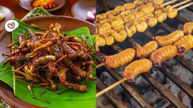 BGN Bantah Ulat Sagu dan Belalang Akan Jadi Menu Makan Bergizi Gratis