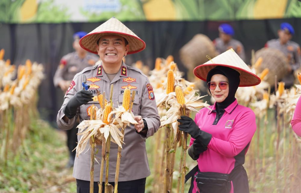 Kapolda Riau Panen 156,64 Ton Jagung Pipil, Hasil Dijual ke Sumbar