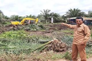 Dukung Perpres Kawasan Hutan, LSM Amatir Laporkan Korupsi Kebun Sawit Ilegal PT Palm Lestari Makmur