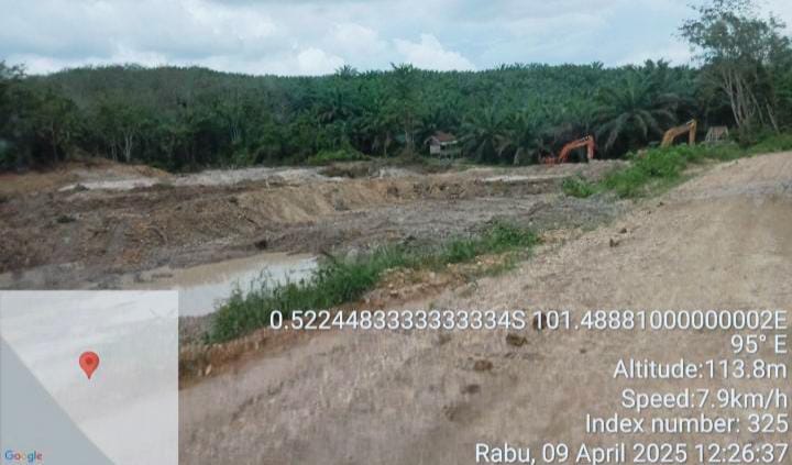 Kebun Karet Pemkab Kuansing Rusak Akibat Aktivitas PETI