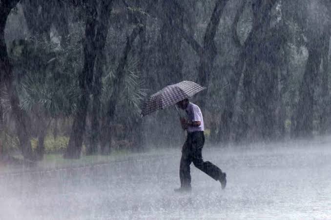 Waspada Hujan Lebat Disertai Petir dan Angin Kencang di Sejumlah Wilayah Riau Hari Ini