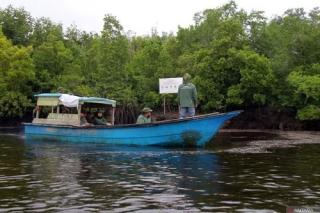 Desa Teluk Pambang Sukses Turunkan Laju Kerusakan Hutan Mangrove 96 Persen