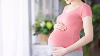 Pentingnya Protein dan Nutrisi Lengkap untuk Ibu Hamil dan Janin