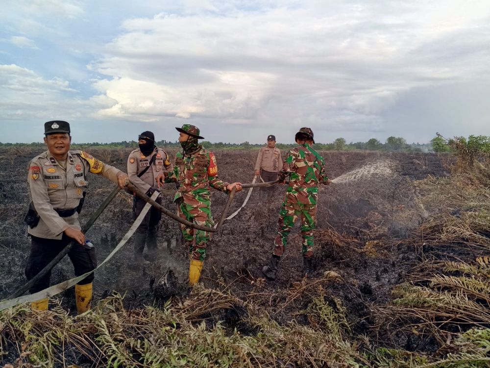 Petani di Rohil Bakar Lahan hingga Meluas 10 Hektare