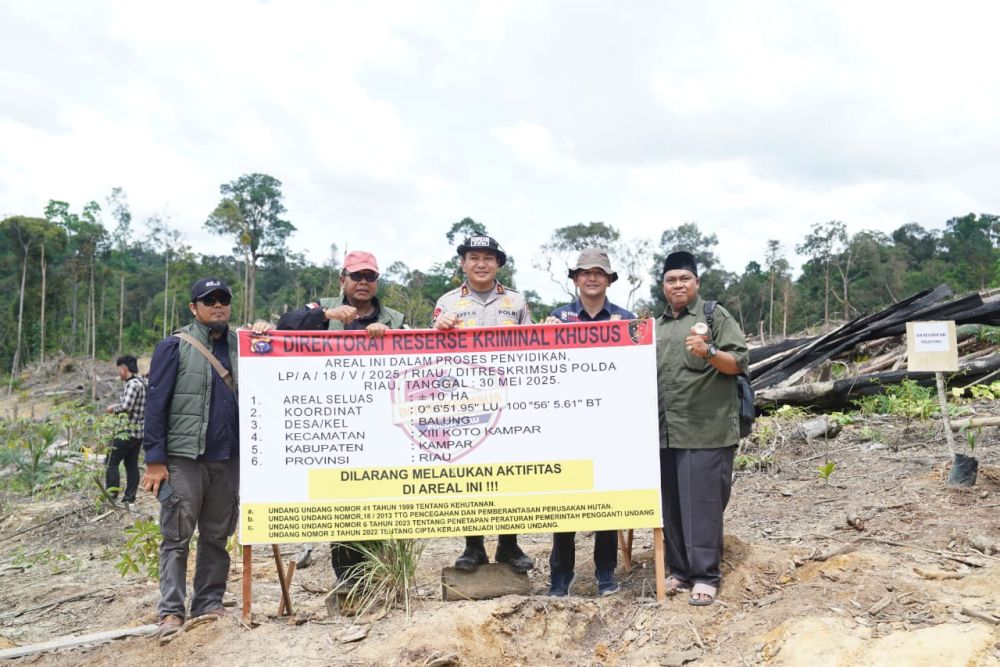 Polda Riau Mengamankan Oknum Ninik Mamak Perambah Hutan, Ini Sikap LAMR