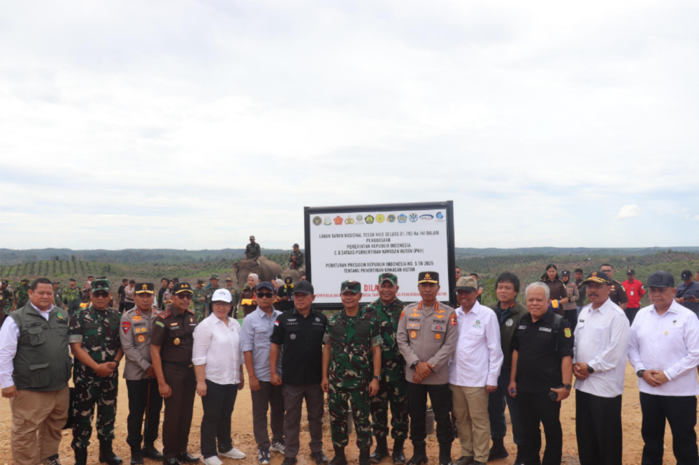 Satgas PKH Ultimatum, 81 Ribu Hektare Lahan Ilegal di TNTN Harus Dikosongkan dalam 3 Bulan