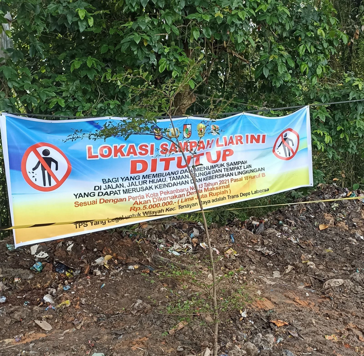 Tak Ada Lagi TPS di Pinggir Jalan, Warga Pekanbaru Diminta Taat Aturan Buang Sampah