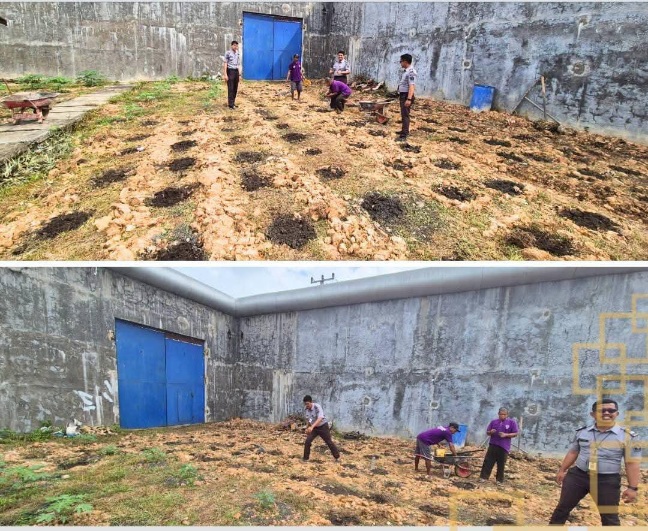Dukung Program Ketahanan Pangan,  Lapas Narkotika Rumbai Perluas Penanaman Sayuran Terong 