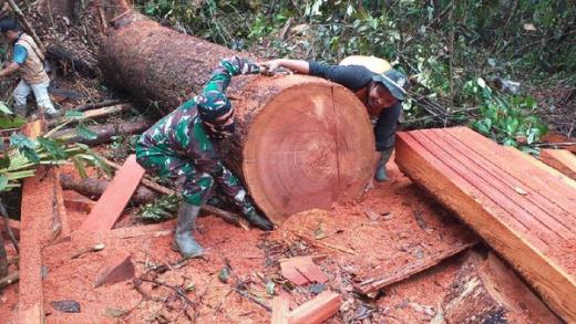Ini Pandangan Ketua Komisi III DPRD Riau Terkait Petani di Kawasan TNTN