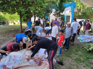 PWI Riau Sembelih 7 Ekor Hewan Kurban