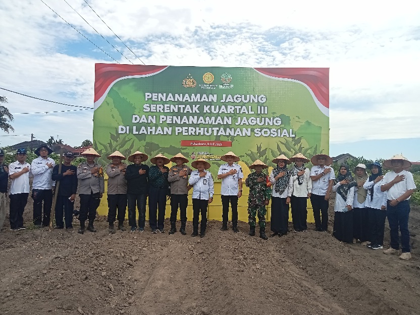 Dukung Ketahanan Pangan Nasional, Polsek Binawidya Tanam Jagung Serentak Kuartal Tiga di Sidomulyo Barat 